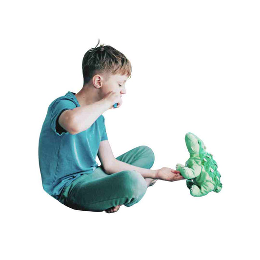 Talking Dino Partner